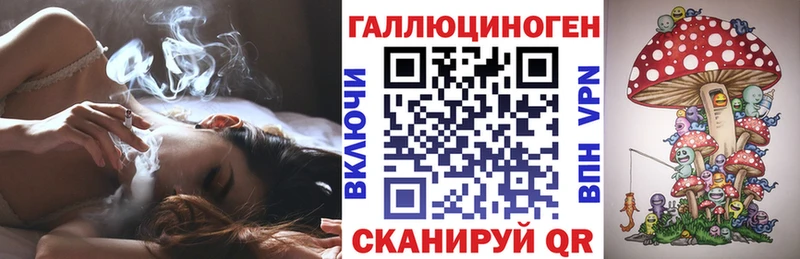 Псилоцибиновые грибы GOLDEN TEACHER  blacksprut сайт  Миллерово 